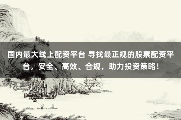 国内最大线上配资平台 寻找最正规的股票配资平台，安全、高效、合规，助力投资策略！