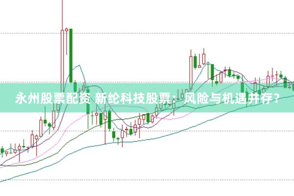 永州股票配资 新纶科技股票：风险与机遇并存？