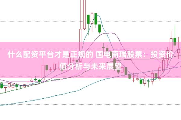 什么配资平台才是正规的 国电南瑞股票：投资价值分析与未来展望