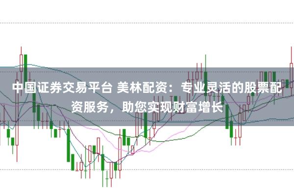 中国证券交易平台 美林配资：专业灵活的股票配资服务，助您实现财富增长