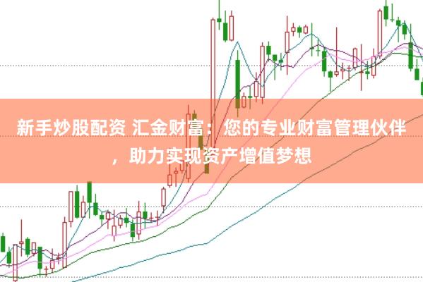 新手炒股配资 汇金财富：您的专业财富管理伙伴，助力实现资产增值梦想