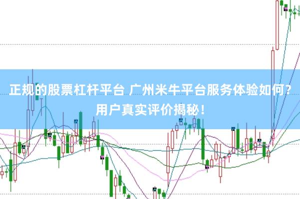 正规的股票杠杆平台 广州米牛平台服务体验如何？用户真实评价揭秘！