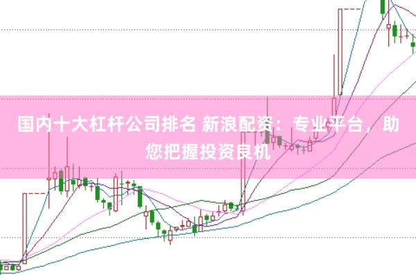 国内十大杠杆公司排名 新浪配资：专业平台，助您把握投资良机
