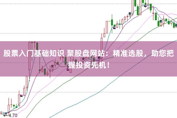股票入门基础知识 聚股盘网站：精准选股，助您把握投资先机！