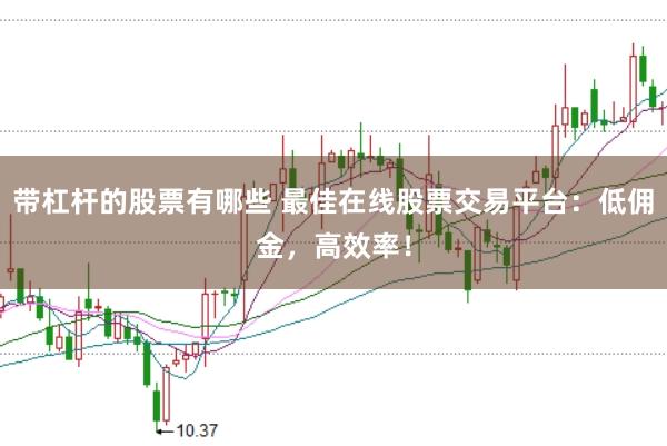 带杠杆的股票有哪些 最佳在线股票交易平台：低佣金，高效率！