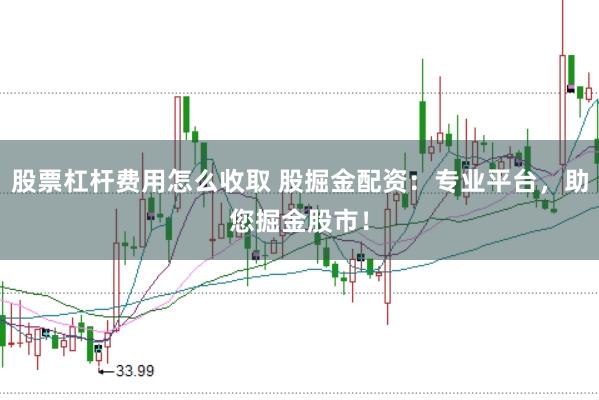 股票杠杆费用怎么收取 股掘金配资：专业平台，助您掘金股市！