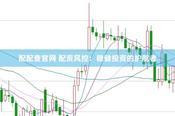 配配查官网 配资风控：稳健投资的护航者