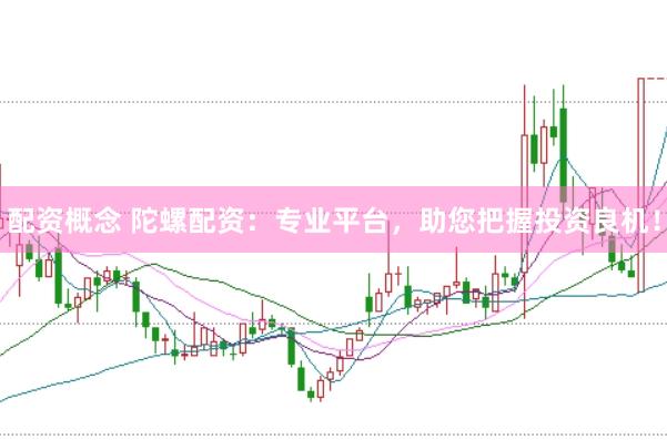 配资概念 陀螺配资：专业平台，助您把握投资良机！