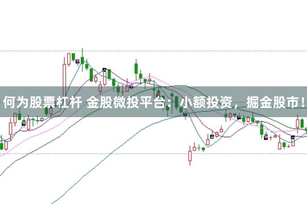 何为股票杠杆 金股微投平台：小额投资，掘金股市！