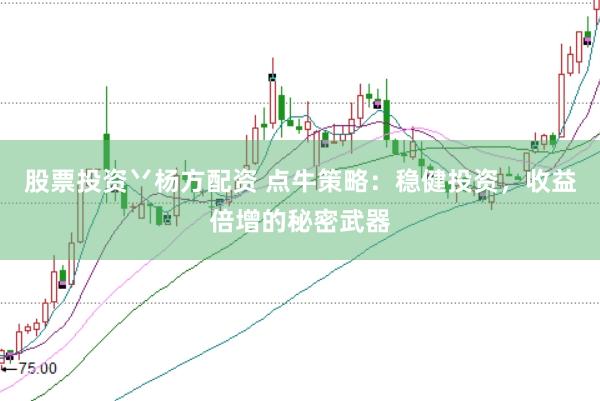 股票投资丷杨方配资 点牛策略：稳健投资，收益倍增的秘密武器