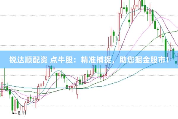 锐达顺配资 点牛股：精准捕捉，助您掘金股市！