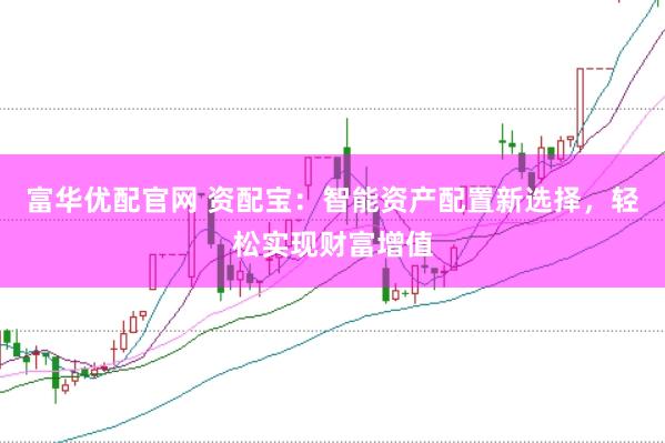 富华优配官网 资配宝：智能资产配置新选择，轻松实现财富增值
