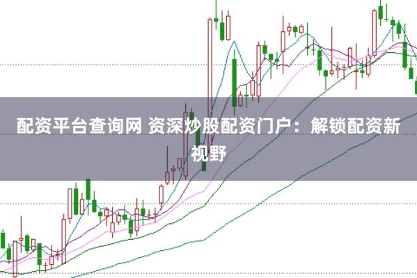 配资平台查询网 资深炒股配资门户：解锁配资新视野