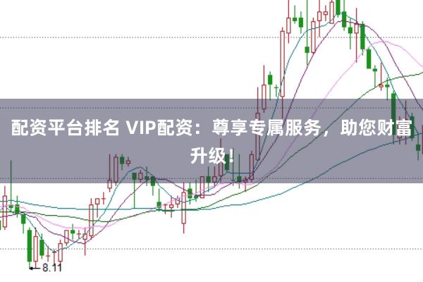配资平台排名 VIP配资：尊享专属服务，助您财富升级！