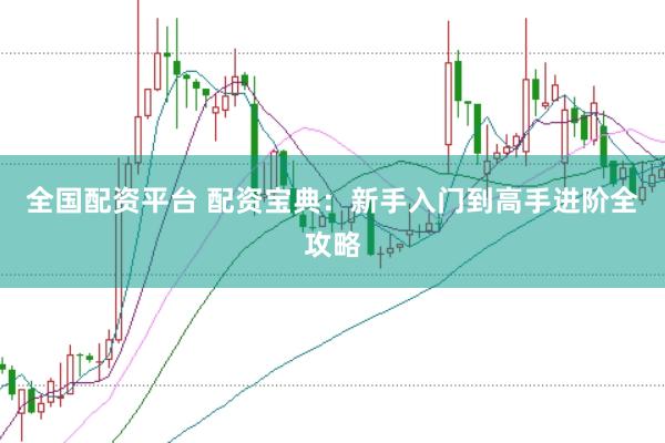 全国配资平台 配资宝典：新手入门到高手进阶全攻略