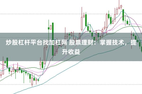 炒股杠杆平台找加杠网 股票理财：掌握技术，提升收益