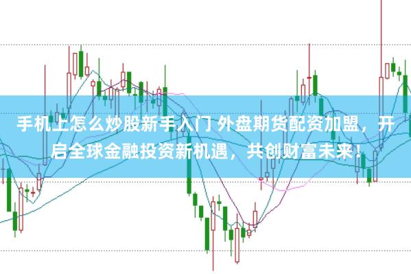 手机上怎么炒股新手入门 外盘期货配资加盟，开启全球金融投资新机遇，共创财富未来！