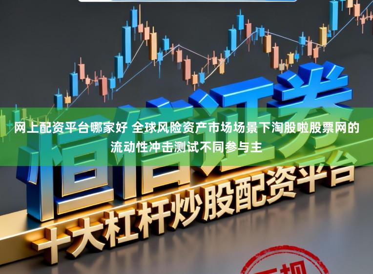 网上配资平台哪家好 全球风险资产市场场景下淘股啦股票网的流动性冲击测试不同参与主
