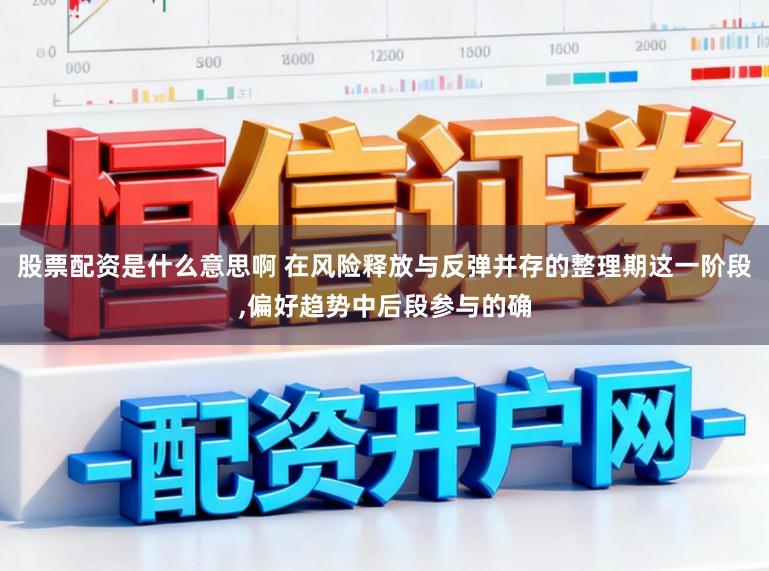 股票配资是什么意思啊 在风险释放与反弹并存的整理期这一阶段，偏好趋势中后段参与的确