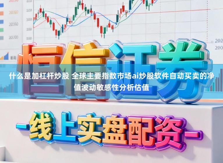什么是加杠杆炒股 全球主要指数市场ai炒股软件自动买卖的净值波动敏感性分析估值
